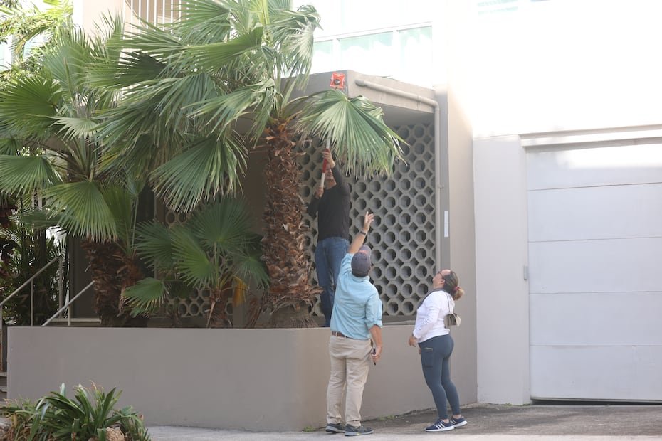 Por su parte, la madre de Cotto Cartagena también emitió declaraciones a los medios presentes, sosteniendo que su hijo fue asesinado.