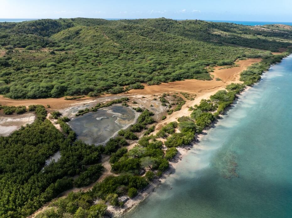 Vista aérea que muestra parte de los humedales y costa virgen donde se propone un enclave privado con campos de golf, residencias de lujo, hoteles y clubes de playa.
GFR Media / El Nuevo Dia © Jorge A Ramirez Portela