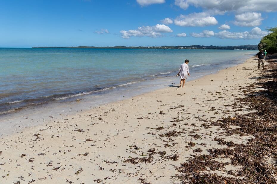 Vista de parte de las tres millas de playa sin desarrollar donde se propone el megaproyecto de $2,000 millones Esencia.
GFR Media / El Nuevo Dia © Jorge A Ramirez Portela