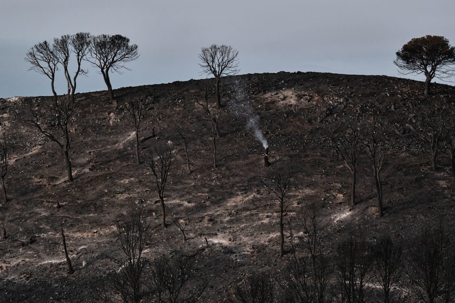 Cientos de bomberos, respaldados por helicópteros y aeronaves de ala fija, lucharon por contener un incendio forestal en España que ha cobrado la vida de al menos 12 personas.