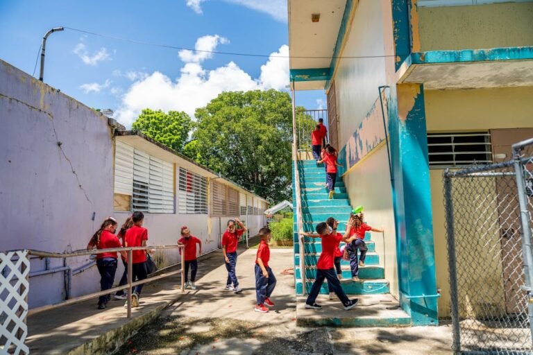 reorganización Departamento de Educación