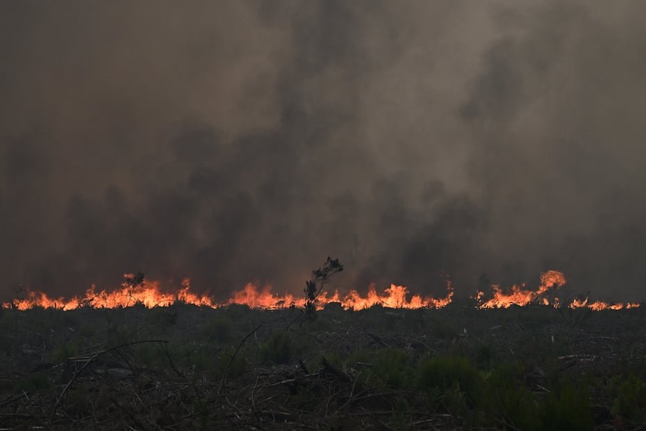 Las autoridades ordenaron la evacuación de las personas que se encontraban entre el incendio y Burdeos.