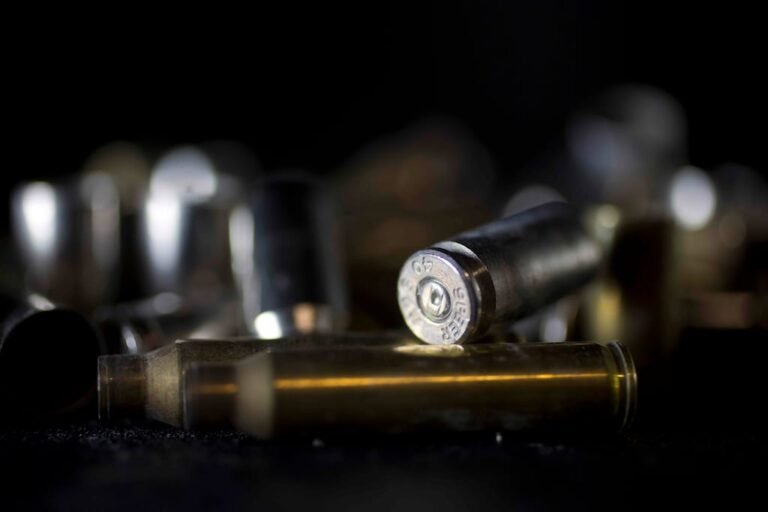 agente policía Naguabo