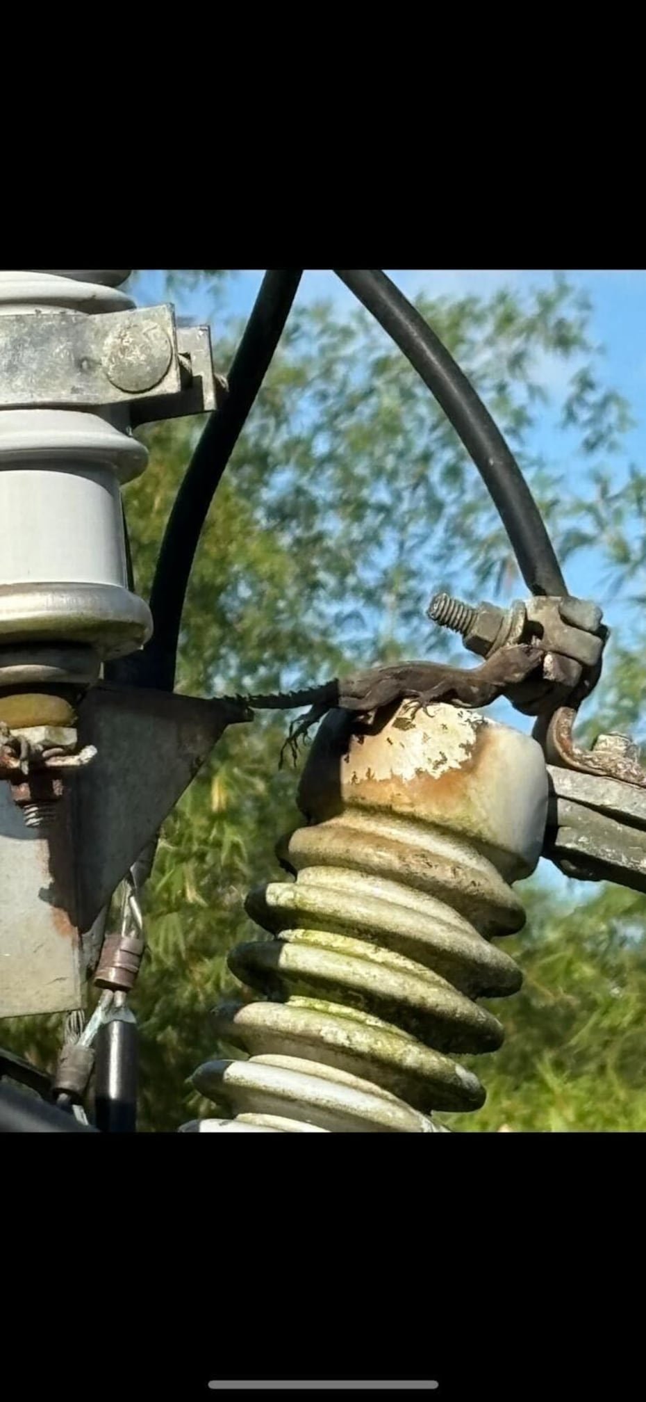 A nivel del sistema eléctrico, un 9% de los eventos están vinculados a fauna, mientras que en las subestaciones (específicamente) el porcentaje es de 8%.