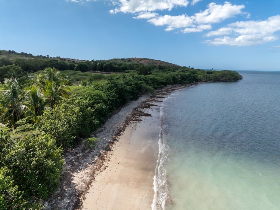La playa virgen de Los Pozos cuenta con dunas, mangles y bosque costero. En este litoral proponen tres hoteles, dos clubes de playa y residencias de lujo.
GFR Media / El Nuevo Dia © Jorge A Ramirez Portela