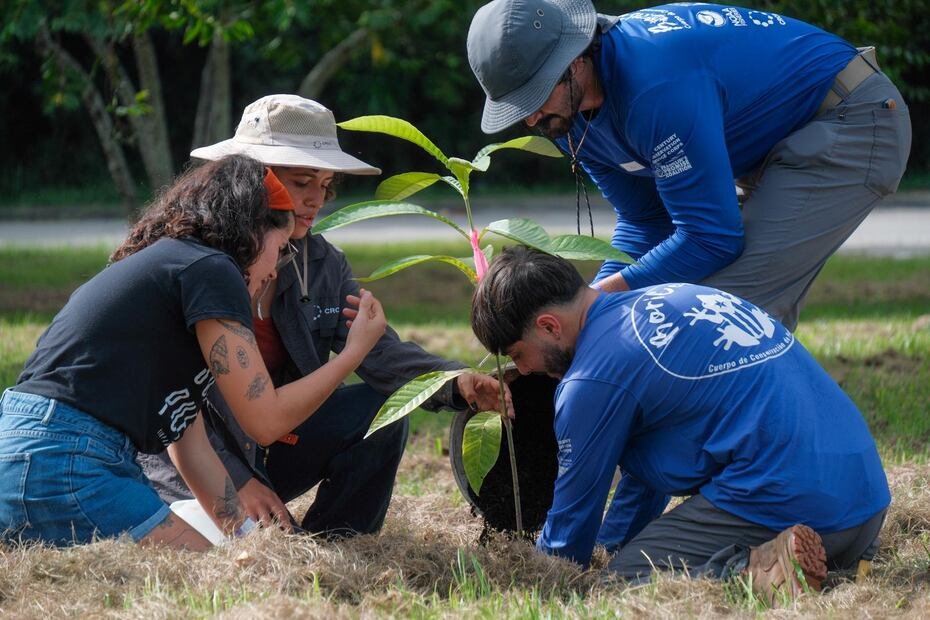 La medición cubrió 105 millas cuadradas, incluyó 11 rutas y contó con la participación de 32 recolectores comunitarios, recopilando más de 83 mil mediciones de temperatura del aire y humedad relativa.
