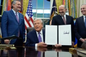 ingresos criptomonedas Trump
