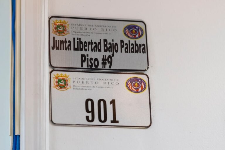 libertad bajo palabra