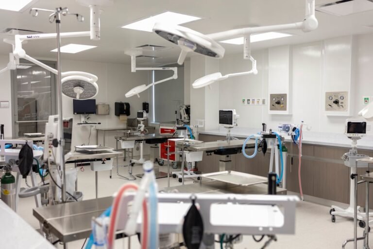 hospital veterinario enseñanza