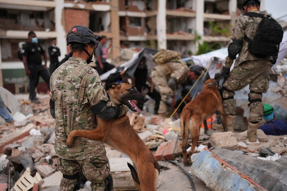 Tras el doble terremoto del 24 de junio en Venezuela, equipos de rescate de 51 delegaciones internacionales han llegado al país con 3,660 rescatistas extranjeros, 148 perros y 49 vehículos de apoyo. En la imagen, equipos de Argentina.