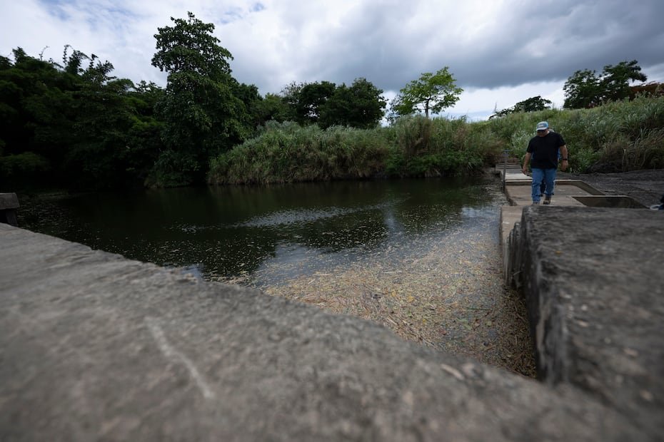 El aceite fue limpiado en la mañana del lunes luego de que los residentes de Loíza y Canóvanas llevaran 72 horas sin servicio, pero no se restauró hasta la noche del martes cuando el Departamento de Salud endosó la calidad del agua.
