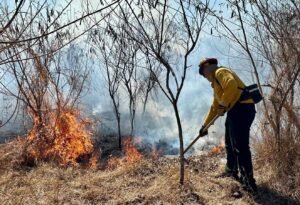 incendios forestales Puerto Rico