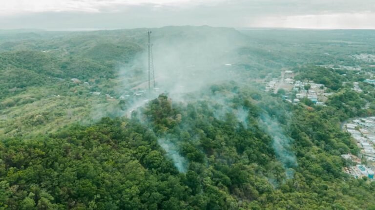 riesgo de incendios forestales