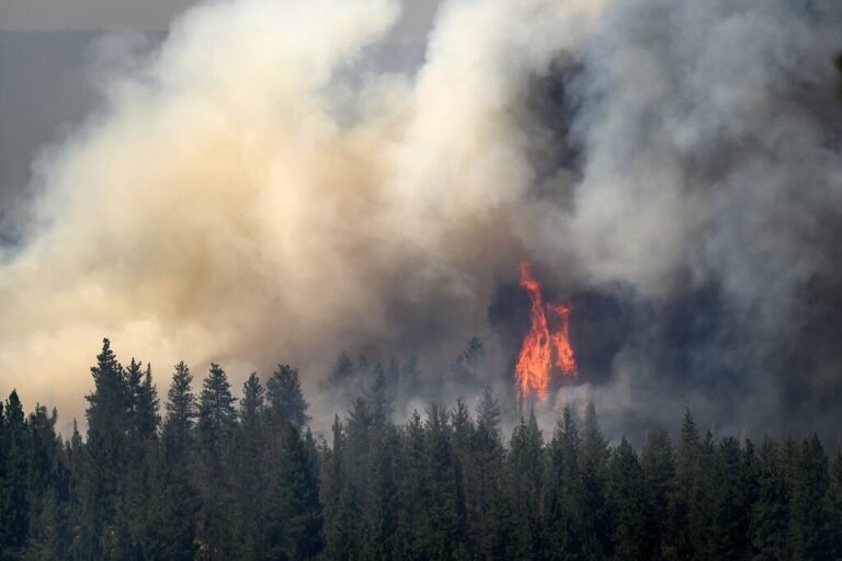 cuarto bombero Colorado