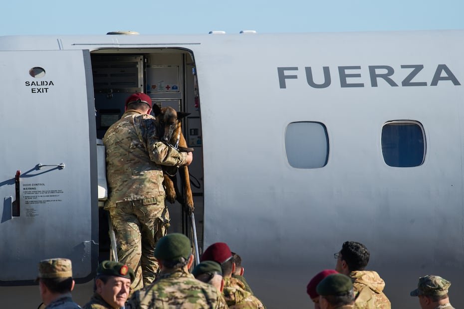 Canes como Orly, Balam y Kenai viajaron desde México, mientras que en redes sociales se ha divulgado la historia de Tsunami, un perro especializado venezolano del equipo Ksar Ecid que ha protagonizado varios rescates desde el 24 de junio.