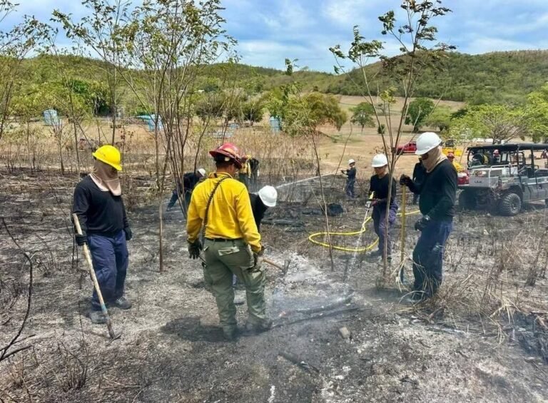 incendios forestales Puerto Rico