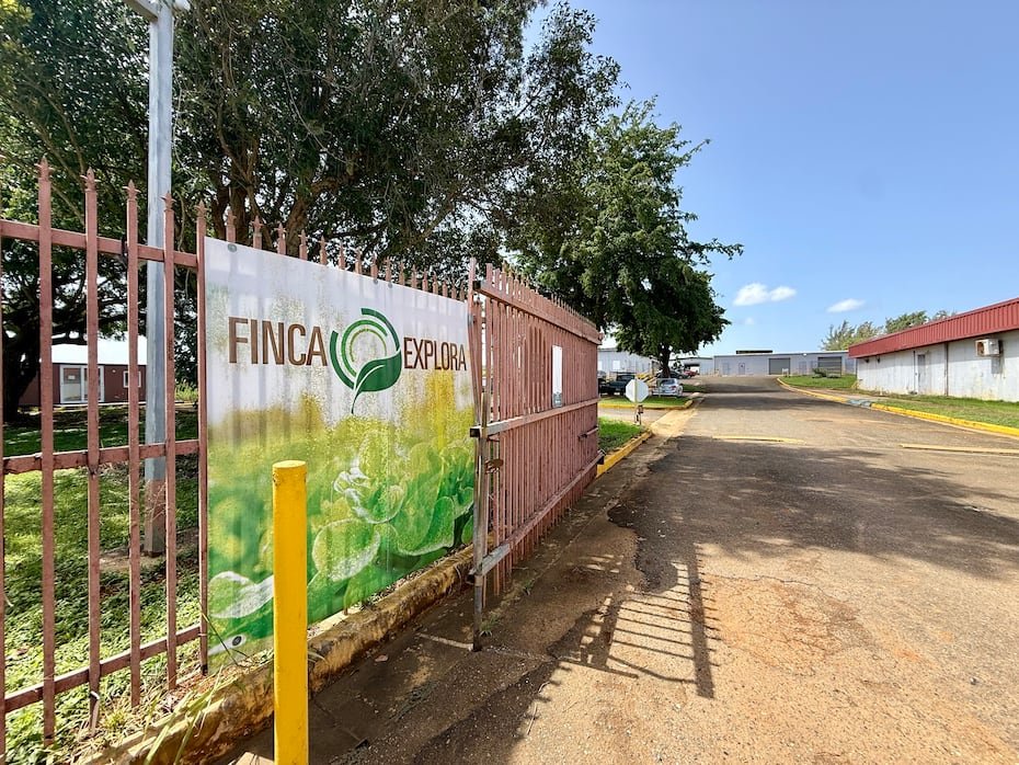 Las 120 cuerdas que hoy ocupa Finca Explora en Isabela albergaron durante décadas un centro de investigación biotecnológica agrícola. Desde 2017, el espacio se ha transformado en un centro de incubación y aceleración para nuevos agroempresarios