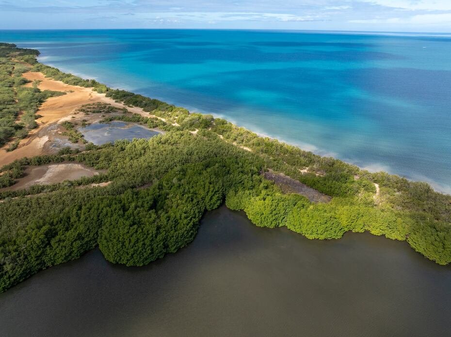 En esta toma, se capta parte de la línea de manglares que son la única barrera entre una de las zonas de humedales, el Caño de Boquerón y la playa. En el gráfico compartido por los desarrolladores de Esencia, en esta punta se planifica construir uno de los dos clubes de playa.
GFR Media / El Nuevo Dia © Jorge A Ramirez Portela