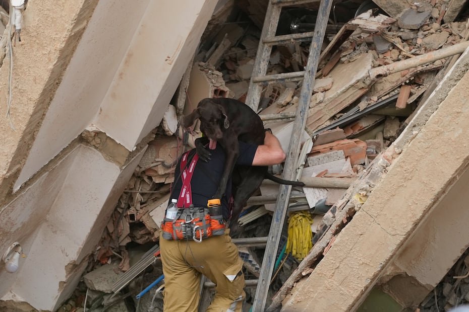 Un rescatista de la República Checa sube a un perro de búsqueda a un edificio destruido por los terremotos en Catia La Mar. Los perros forman parte igualmente del equipo suizo de rescate que está en Venezuela con 80 especialistas y 18 toneladas de material.