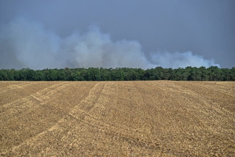 incendio Los Gallardos