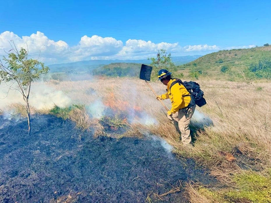 De igual forma, los bomberos advirtieron que todavía quedan algunos puntos calientes, por lo que exhortaron a las personas a tener precaución.