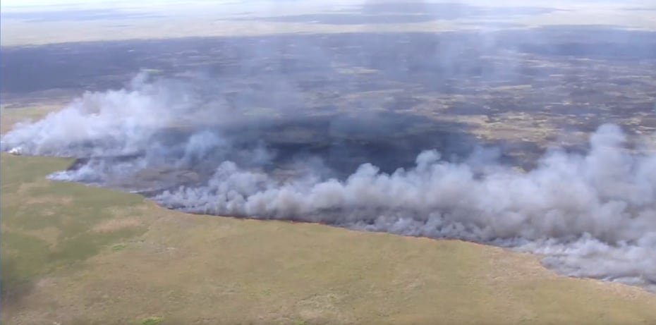 En el norte de Florida, la Oficina del Sheriff del condado de Nassau informó que el bombero voluntario James Crews sufrió una emergencia médica no especificada mientras sofocaba un incendio de matorrales.