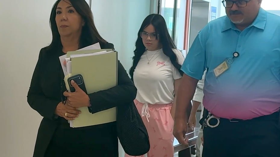 Avilés Cabrera fue acusada junto con su madre, Elvia Cabrera Rivera, por cargos de asesinato en primer grado y violaciones a la Ley de Armas. Su progenitora ya fue encontrada culpable por todos los cargos, mientras el juicio contra la joven ya inició con la selección del jurado.
