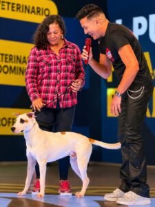 adopción de Lucky