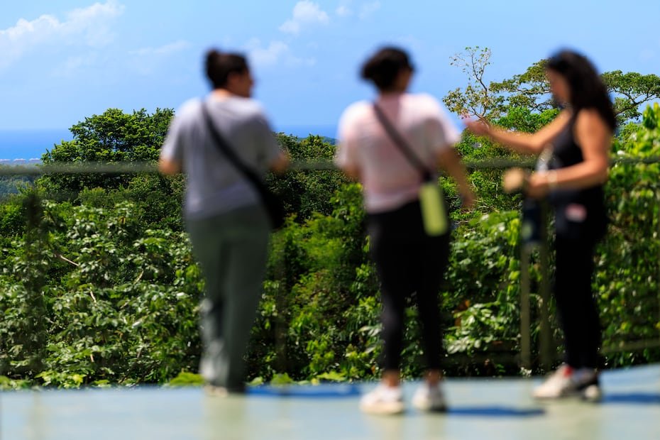 El Yunque se extiende a través de ocho municipios del noreste los cuales cubren un total de 186,000 acres.