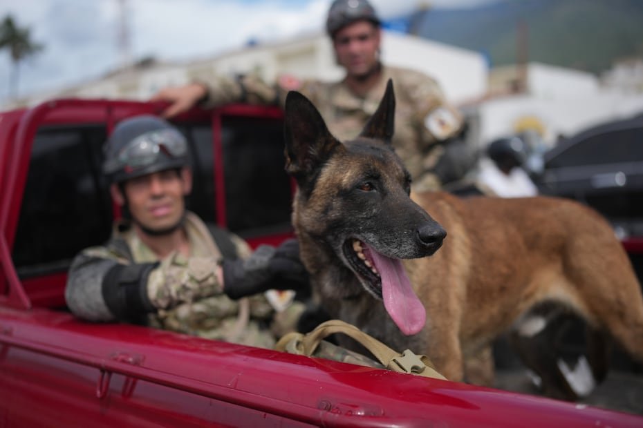 Bart, uno de los perros del contingente argentino desplegado en Venezuela, participó de un operativo junto con su guía, el agente civil Cristian Giroti, para rescatar a dos menores atrapados bajo escombros.