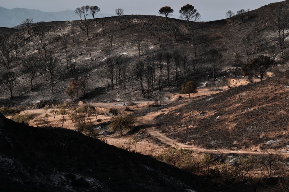 Vista de una zona calcinada por los incendios forestales en Bédar, cerca de Almería, España.