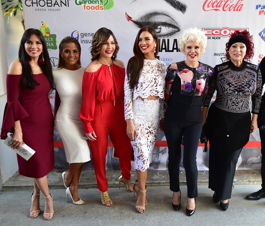 Protagonizó junto a Giselle Blondet, Maripily Rivera, Luz García, Charytín Goyco, Iris Chacón y Yolandita Monge en el 2017 la obra teatral "Malas" en Puerto Rico.