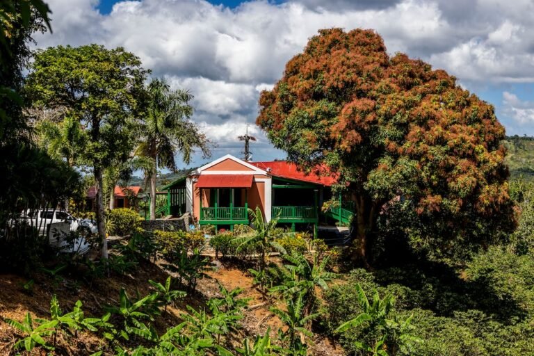 Hacienda Juanita café