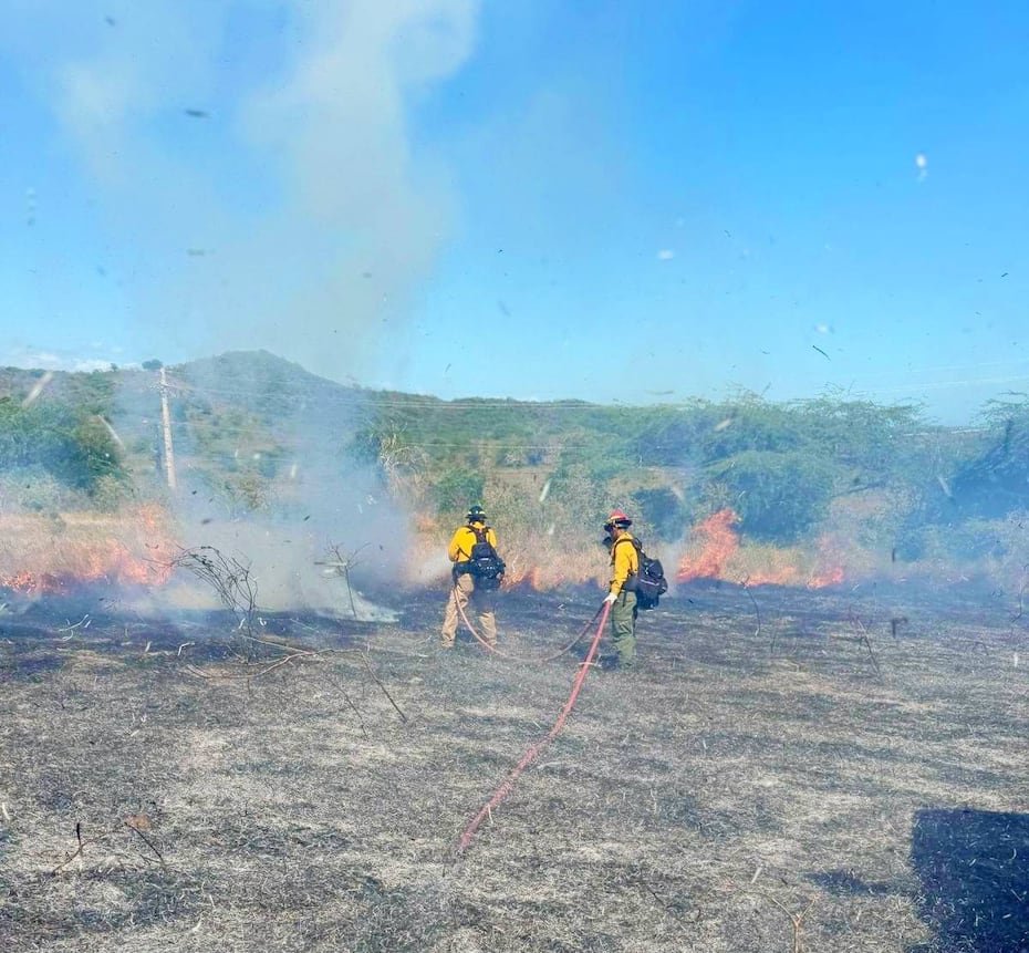 Un incendio forestal se desató en la tarde del lunes en la carretera 304, cerca del barrio La Parguera, en Lajas.