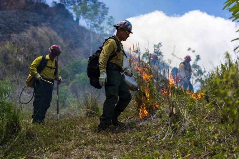 incendios forestales Puerto Rico
