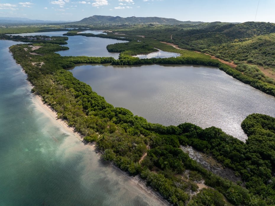 Toma aérea de parte del Caño de Boquerón, que colinda con los terrenos donde se busca construir el enclave de lujo Esencia. El Servicio federal de Pesca y Vida Silvestre (FWS, en inglés) advirtió a la Junta de Planificación que el proyecto propone construcciones indebidas en humedales y que generarían escorrentías nocivas para el ambiente marino.
GFR Media / El Nuevo Dia © Jorge A Ramirez Portela