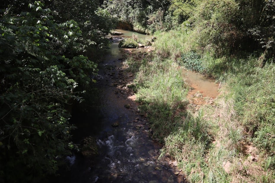 Utuado tiene poco territorio seco. Solo 7.34%.