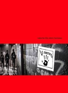 La Secreta novela juvenil