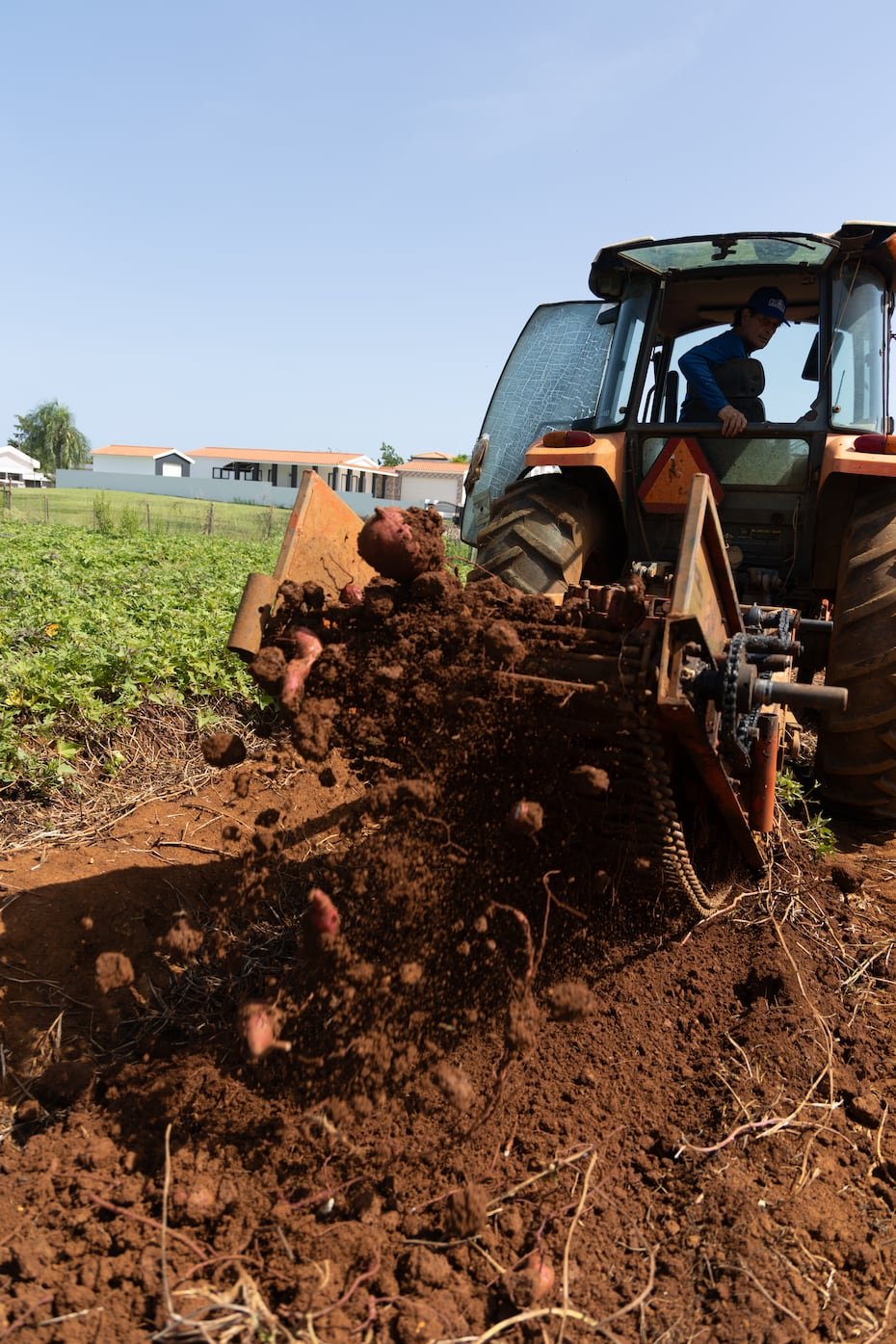 Parte de la maquinaria que permanece en la finca formó parte de la operación agrícola original y continúa utilizándose para apoyar los proyectos que hoy se desarrollan en el lugar.