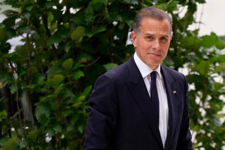 Hunter Biden indemnización