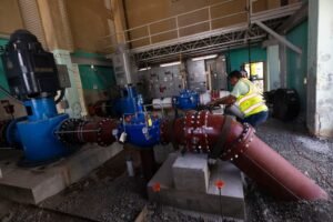 reparaciones planta Finca Rosso