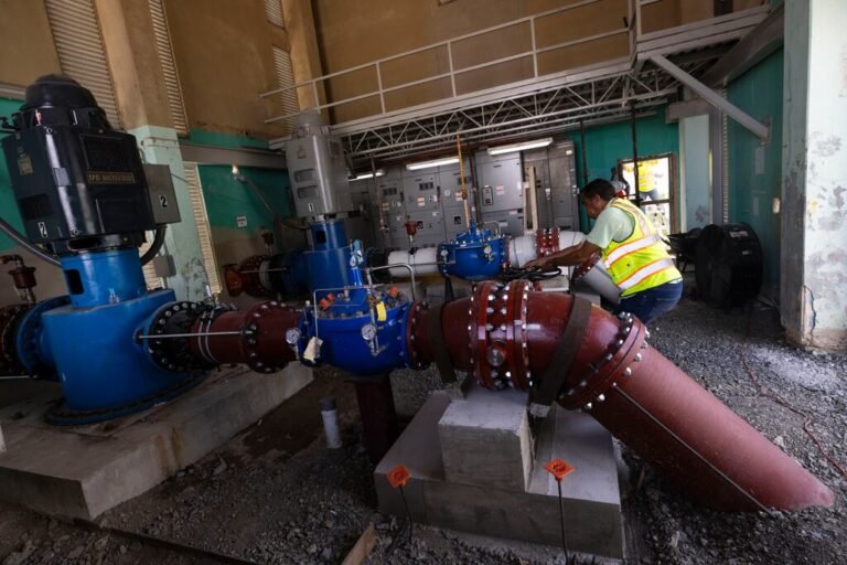 reparaciones planta Finca Rosso