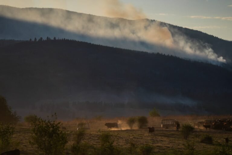 incendio Canadá comunidad indígena