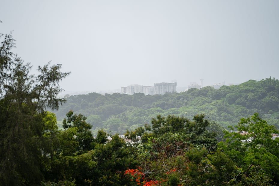 La concentración de polvo era alta, con una profundidad óptica de aerosol de 0.55, la cantidad más alta hasta ahora este año, indicó Yidiana Zayas, del Servicio Meteorológico Nacional en San Juan. Esta foto es desde Cupey Alto.