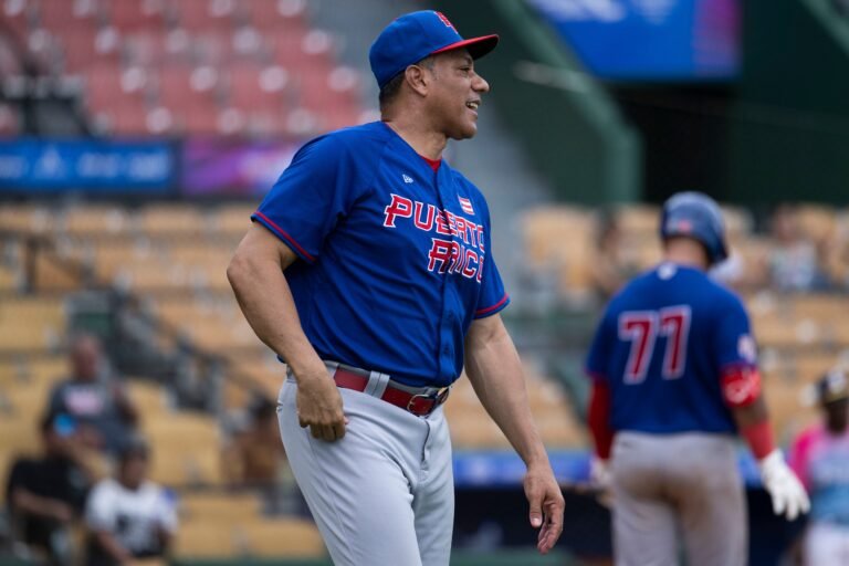 Puerto Rico béisbol bronce