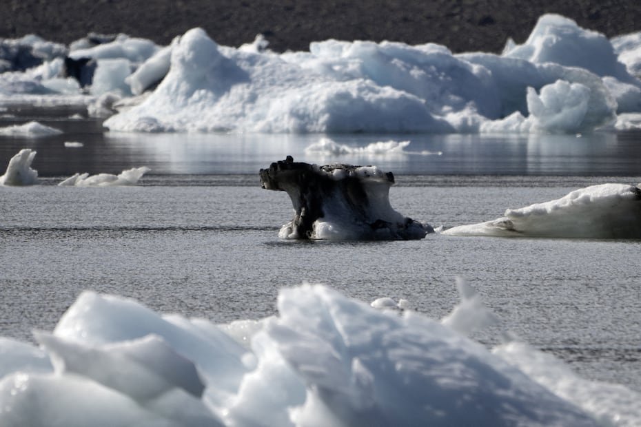 Un trozo de hielo sucio con forma de oso flotando en el fiordo de Scoresby, al este de Groenlandia. Los datos de 2025 se han comparado con la media de deshielo durante el periodo entre 1980 y 2010.