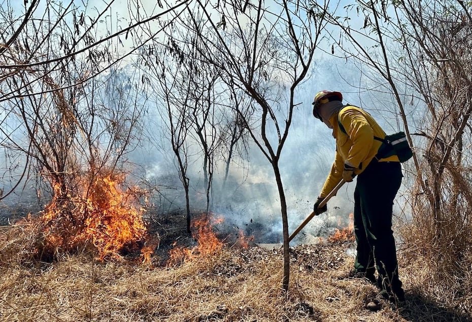 Se han observado puntos calientes en municipios como Salinas, Juana Díaz, Coamo, Lajas y Cabo Rojo, zonas que suelen figurar entre las más secas de la isla.