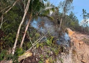incendio forestal Cayey