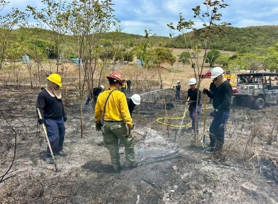 En la mayoría de los casos, los primeros en llegar a la escena son los bomberos estructurales asignados a las estaciones cercanas. Si se trata de un fuego de mayor magnitud, entonces se activa la brigada forestal correspondiente al área.