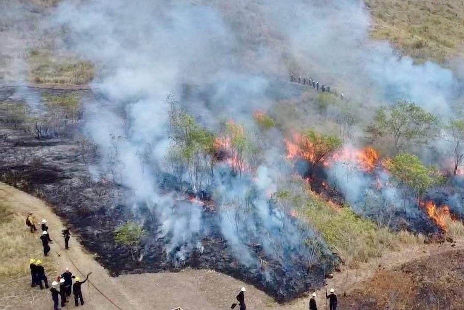 El Negociado del Cuerpo de Bomberos ha atendido 1,113 incendios forestales en lo que va de 2026, una cifra que supera los 1,024 casos registrados para esta misma fecha el año pasado.